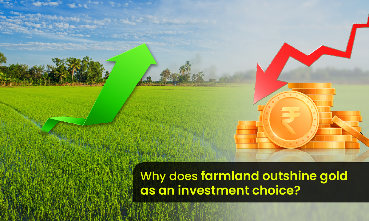 Why Farmland Reigns Supreme as an Investment Choice